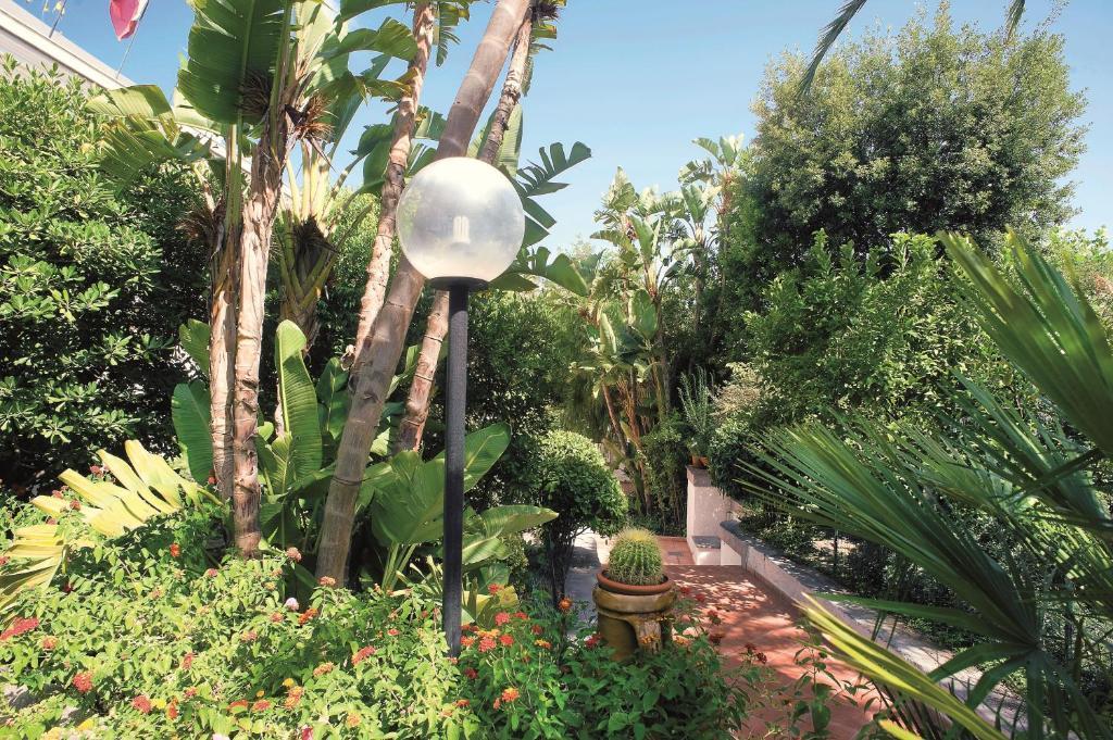 Hotel Floridiana Terme Ischia Dış mekan fotoğraf